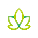 CBD CASH