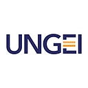 UN Girls' Education Initiative