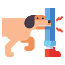 Caninetrainingmasters