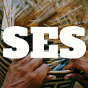Social Environmental Stories