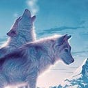 Xhafer Wolfe