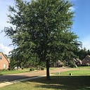 Toward a Better Tomorrow