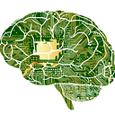NeuroEducate