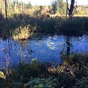 FieldNotes From Natural Medicine