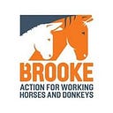 Brooke, Action for Working Horses and Donkeys
