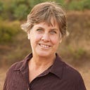 Barbara Schreibke
