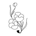 Vanessa Lucero Avilés