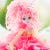 OOAK art dolls — OOAK Fairy dolls Keepers of Magic