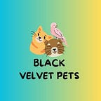 Blackvelvetpetsdog