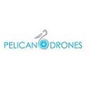 Pelicandrones