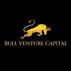 Bull Venture Capital