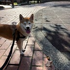 李囿緯_リ ユウイ