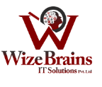 WizeBrains IT Solutions Pvt Ltd