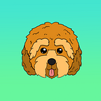 Cockapoo