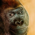 Tessellated Imagination