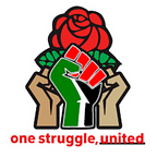 DSA BDS and Palestine Solidarity Working Group