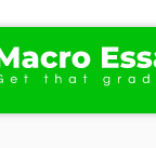 MacroEssays.com