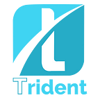 Trident Crypto Index Fund