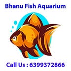 Bhanu Fish Aquarium