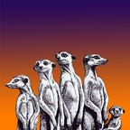 Meerkat Gang