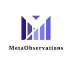 Metaverse Observations