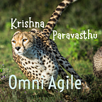 Omni Agile by KP
