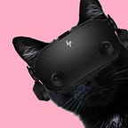 Cat Noir VR