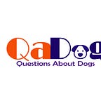 Questions About Dogs