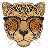 Cheetah Finance