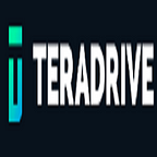 TeraDrive Data Recovery