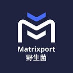 Matrixport 中文官方