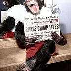 Space Age Bonobo