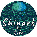 ShinarkAndLife
