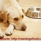 Raw dogs food