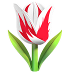 Tulips_Farm