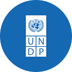 UNDP Strategic Innovation