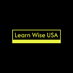 Learn Wise USA