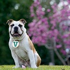 Victor E. Bulldog