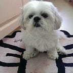 Leetcode — Encode and Decode Strings | by Mini Chang | Medium