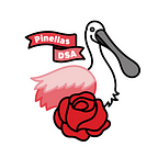 Pinellas DSA