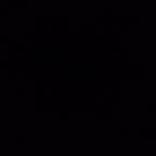 Concerned members of the WLC Community