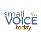 Small Voice Today