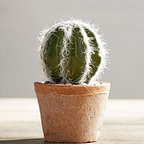 Crusty Cactus