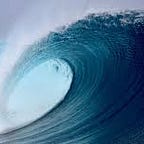 Joel Schamroth & Salman Razzaki