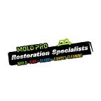 Mold Pro Restoration Specialists