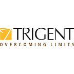 Trigent Software Inc