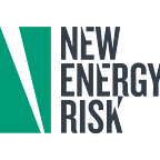 New Energy Risk