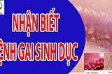 [ Bác Sĩ ] Tư vấn cách chữa trị bệnh gai sinh dục nữ giới