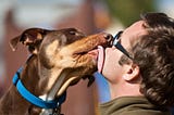 10 maneras de hacer feliz a tu mascota.