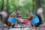 A Tale of Two Squirrels: The Not So Simple Math on Venture Portfolio Size